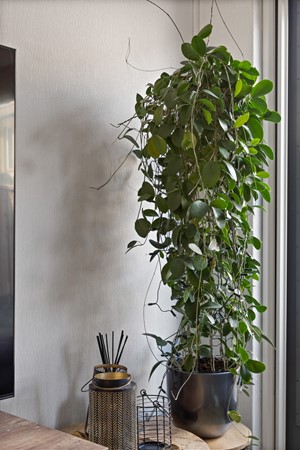 Medium property photo - Woestduijnstraat 73, 1335 TS Almere